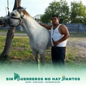 Meet your Posher, Marco